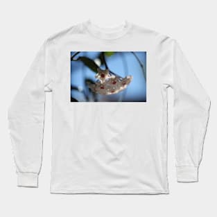 Hoya Mathilde Long Sleeve T-Shirt